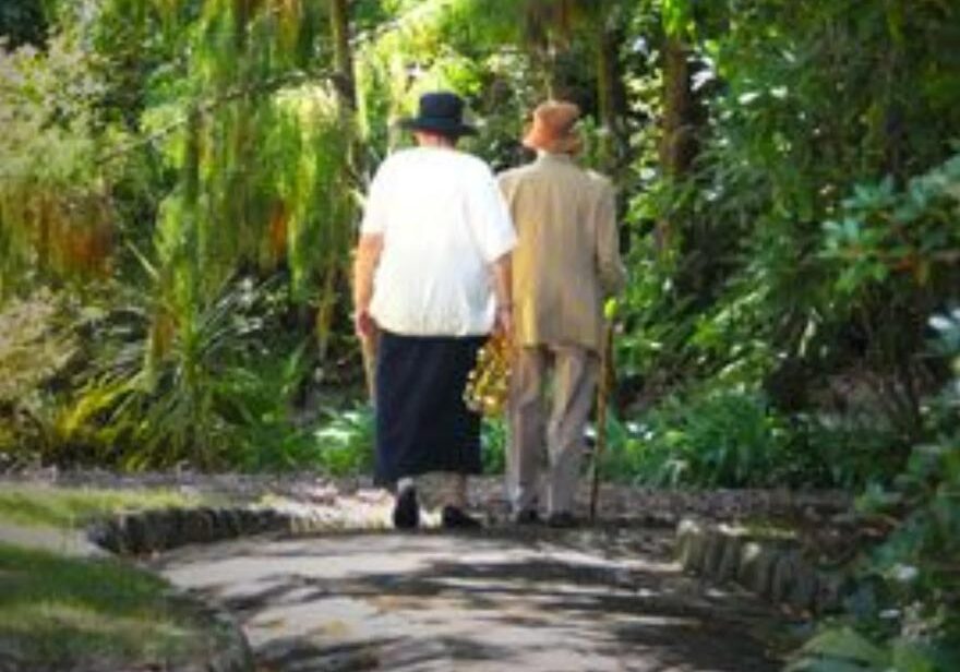 take a walk in Melrose Gardens Nelson