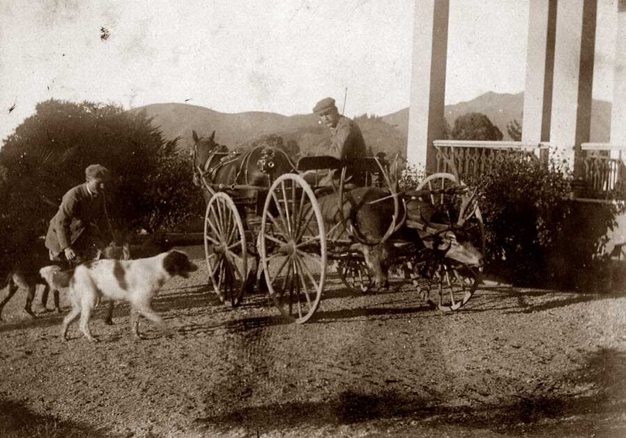 Percy Adams at Melrose after successful deer stalking trip with Capt de Crespiguiquy 1899
